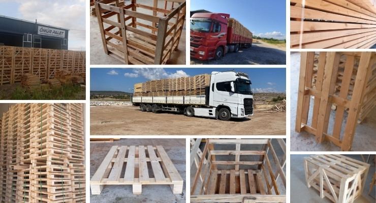 Çatalzeytin Euro Palet Fiyatları